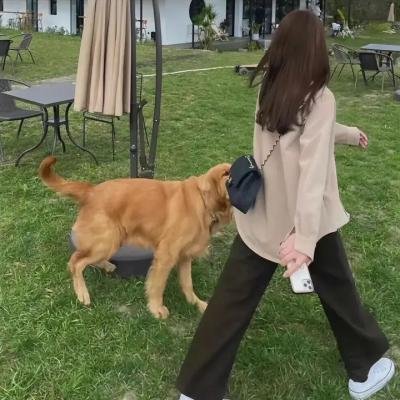 黄阿丽:风流女子